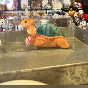 Peekaboo the turtle!